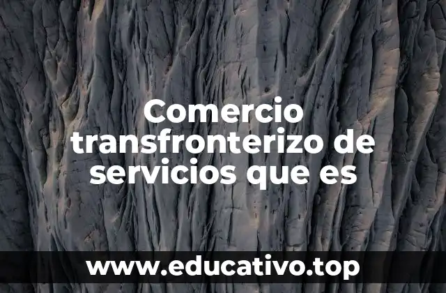 Comercio transfronterizo de servicios que es