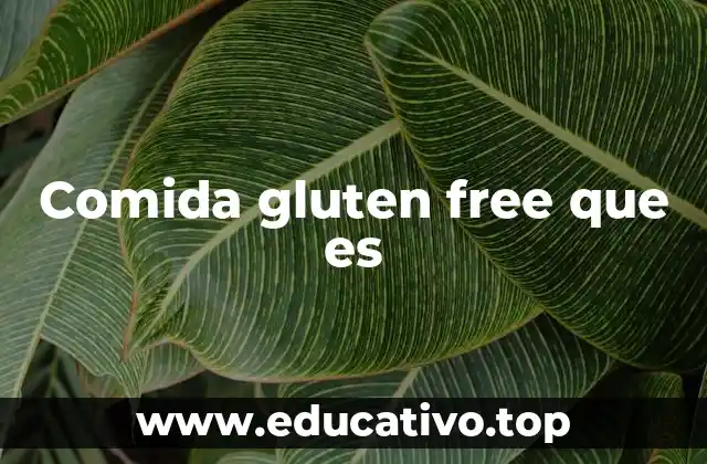 Comida gluten free que es