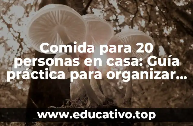 Comida para 20 personas en casa: Guía práctica para organizar un banquete en casa