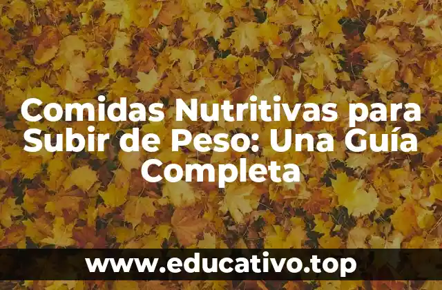 Comidas Nutritivas para Subir de Peso: Una Guía Completa