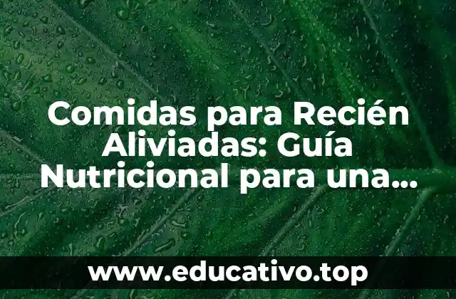Comidas para Recién Aliviadas: Guía Nutricional para una Recuperación Rápida