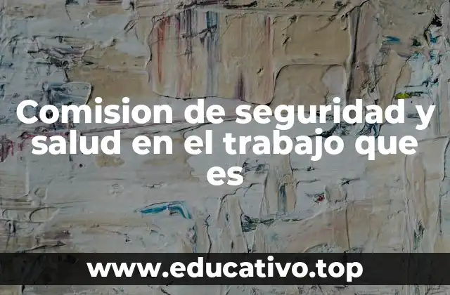 Comision de seguridad y salud en el trabajo que es