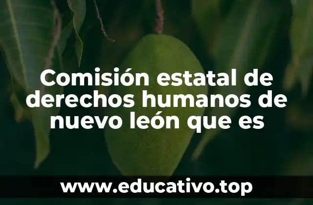 La defensa de los derechos humanos en Nuevo León