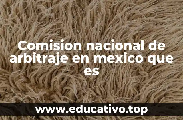 Comision nacional de arbitraje en mexico que es