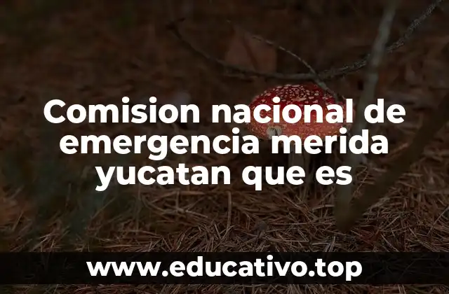 Comision nacional de emergencia merida yucatan que es