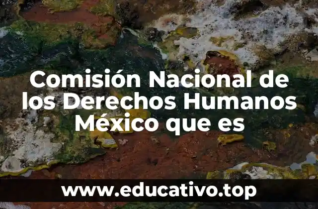 Comisión Nacional de los Derechos Humanos México que es