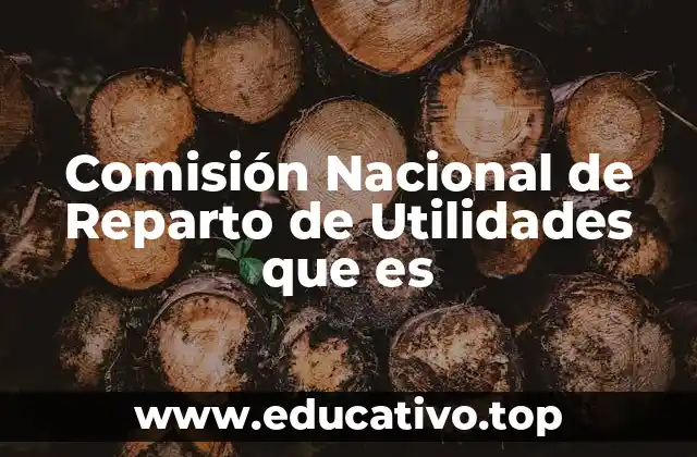 Comisión Nacional de Reparto de Utilidades que es