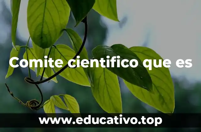 Comite cientifico que es