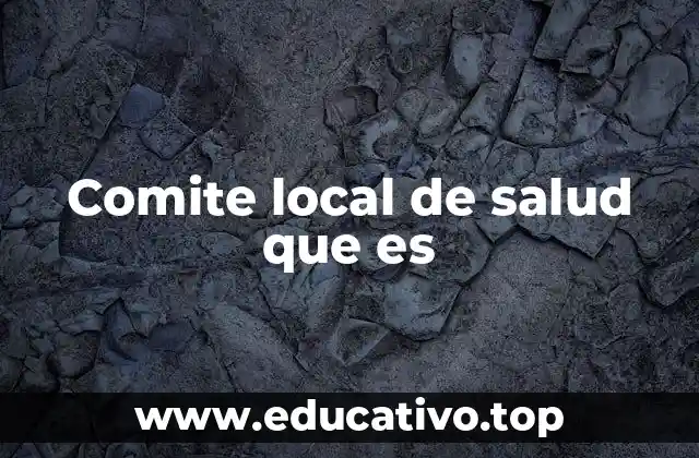 Comite local de salud que es