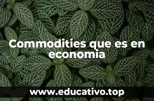 La relevancia de las materias primas en la economía mundial
