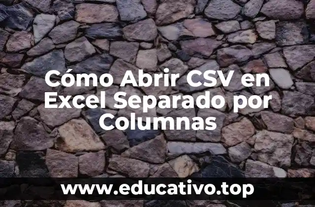 Cómo Abrir CSV en Excel Separado por Columnas