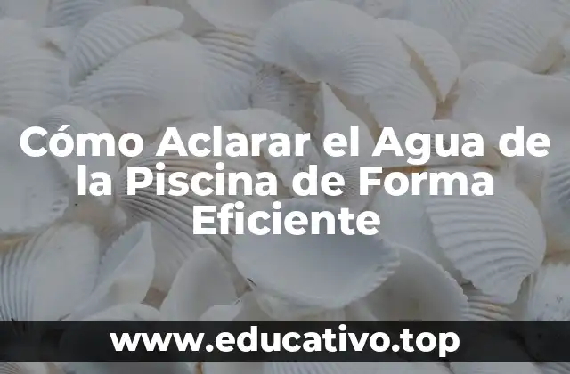 Cómo Aclarar el Agua de la Piscina de Forma Eficiente