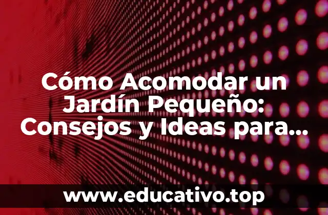 Cómo Acomodar un Jardín Pequeño: Consejos y Ideas para Maximizar el Espacio