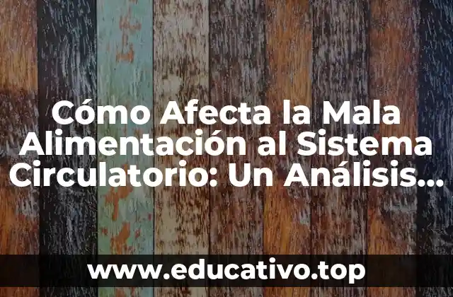 Cómo Afecta la Mala Alimentación al Sistema Circulatorio: Un Análisis Profundo