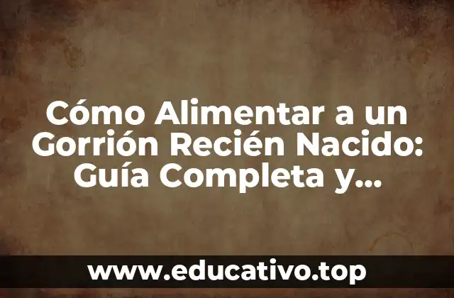 Cómo Alimentar a un Gorrión Recién Nacido: Guía Completa y Detallada