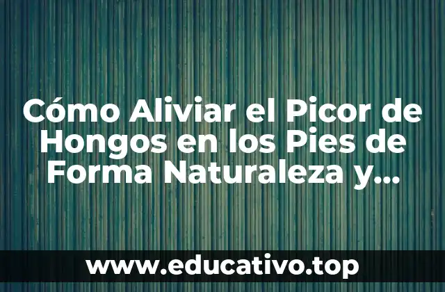 Cómo Aliviar el Picor de Hongos en los Pies de Forma Naturaleza y Efectiva