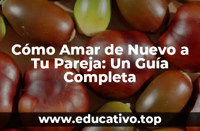 Cómo Amar de Nuevo a Tu Pareja: Un Guía Completa