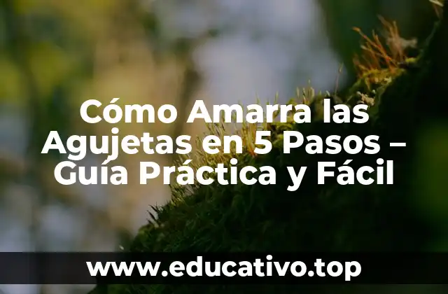 Cómo Amarra las Agujetas en 5 Pasos – Guía Práctica y Fácil