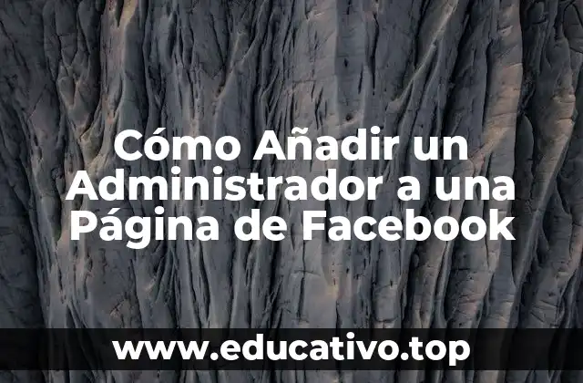 Cómo Añadir un Administrador a una Página de Facebook