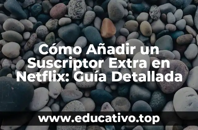 Cómo Añadir un Suscriptor Extra en Netflix: Guía Detallada
