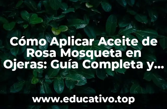 Cómo Aplicar Aceite de Rosa Mosqueta en Ojeras: Guía Completa y Efectiva