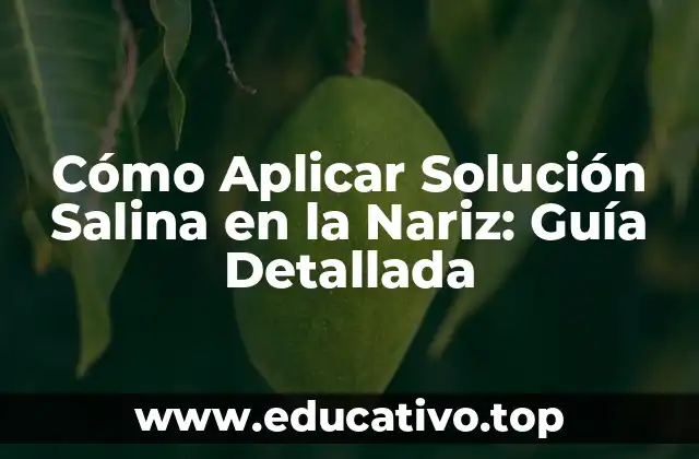 Cómo Aplicar Solución Salina en la Nariz: Guía Detallada