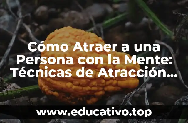Cómo Atraer a una Persona con la Mente: Técnicas de Atracción Psicológica