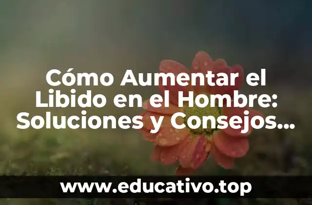Cómo Aumentar el Libido en el Hombre: Soluciones y Consejos Prácticos