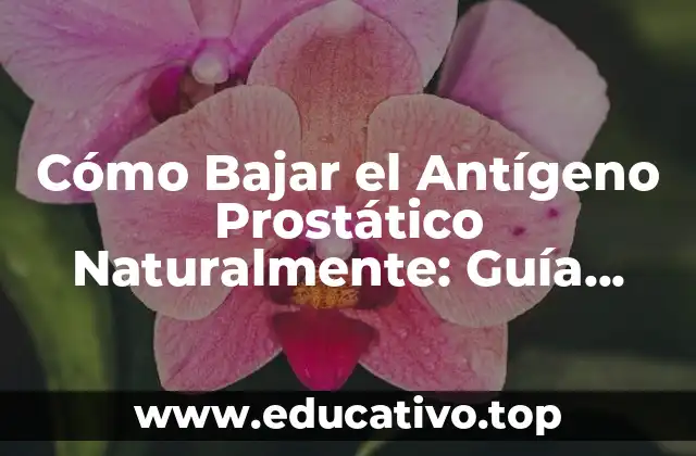 Cómo Bajar el Antígeno Prostático Naturalmente: Guía Completa