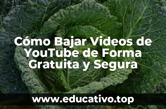 Cómo Bajar Videos de YouTube de Forma Gratuita y Segura