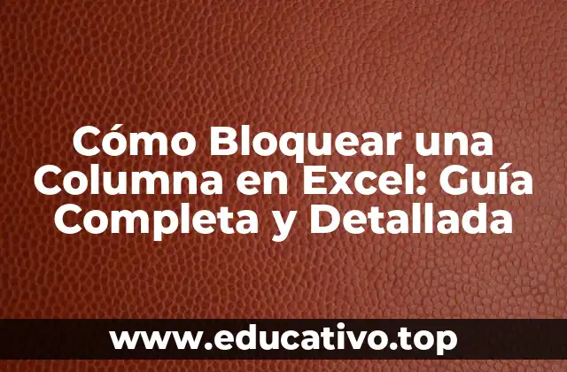 Cómo Bloquear una Columna en Excel: Guía Completa y Detallada