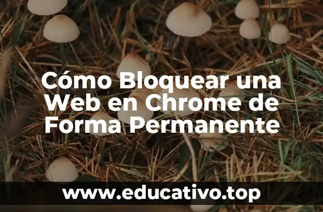 Cómo Bloquear una Web en Chrome de Forma Permanente