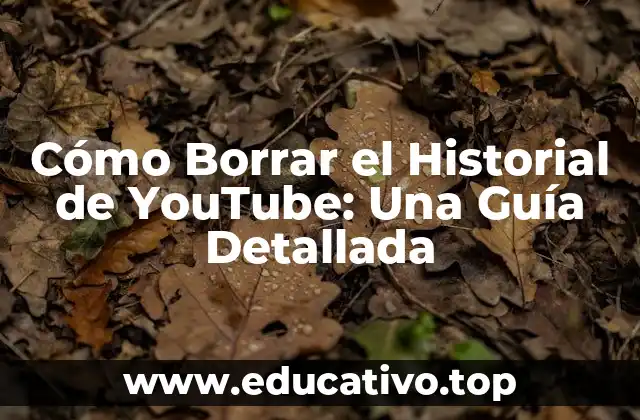 Cómo Borrar el Historial de YouTube: Una Guía Detallada