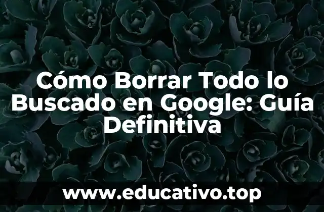 Cómo Borrar Todo lo Buscado en Google: Guía Definitiva