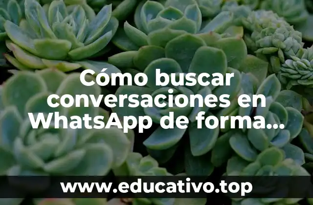Cómo buscar conversaciones en WhatsApp de forma efectiva