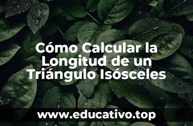 Cómo Calcular la Longitud de un Triángulo Isósceles