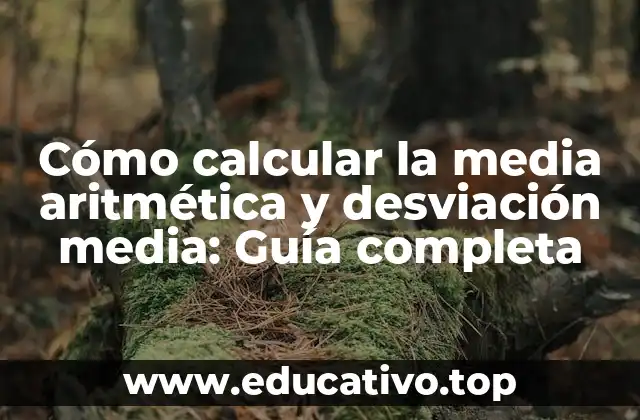 Cómo calcular la media aritmética y desviación media: Guía completa