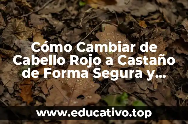Cómo Cambiar de Cabello Rojo a Castaño de Forma Segura y Permanente