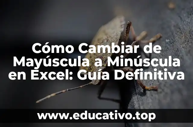 Cómo Cambiar de Mayúscula a Minúscula en Excel: Guía Definitiva