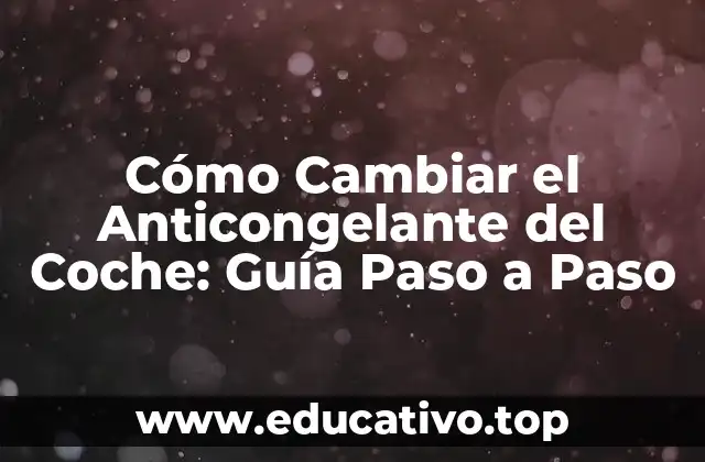 Cómo Cambiar el Anticongelante del Coche: Guía Paso a Paso