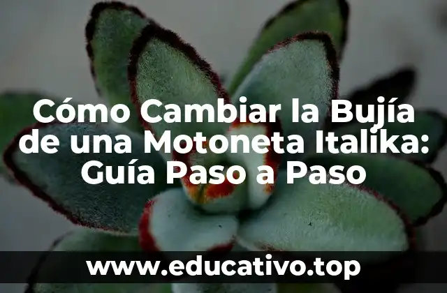 Cómo Cambiar la Bujía de una Motoneta Italika: Guía Paso a Paso