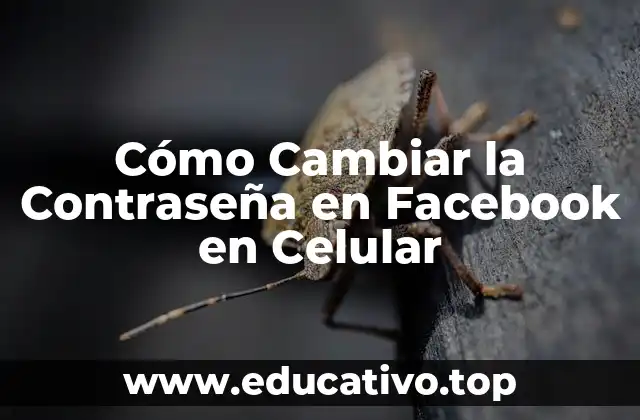 Cómo Cambiar la Contraseña en Facebook en Celular
