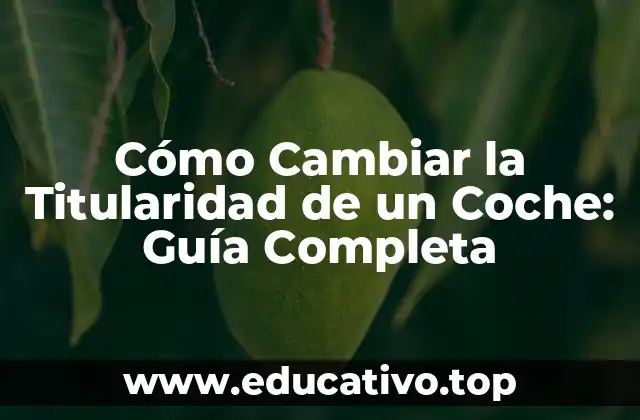 Cómo Cambiar la Titularidad de un Coche: Guía Completa