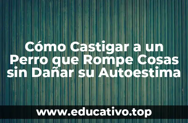 Cómo Castigar a un Perro que Rompe Cosas sin Dañar su Autoestima
