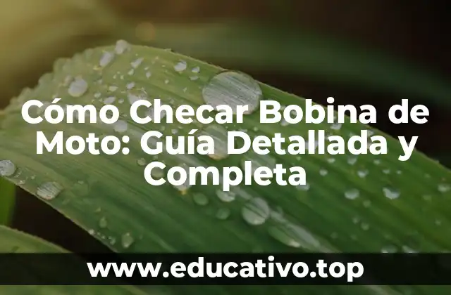 Cómo Checar Bobina de Moto: Guía Detallada y Completa