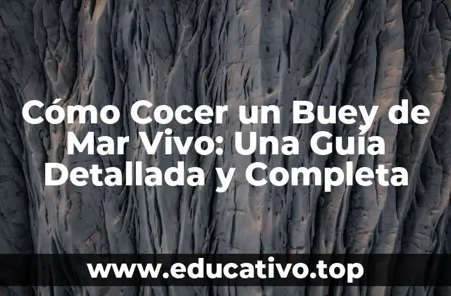Cómo Cocer un Buey de Mar Vivo: Una Guía Detallada y Completa