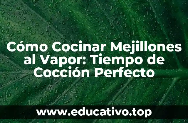 Cómo Cocinar Mejillones al Vapor: Tiempo de Cocción Perfecto
