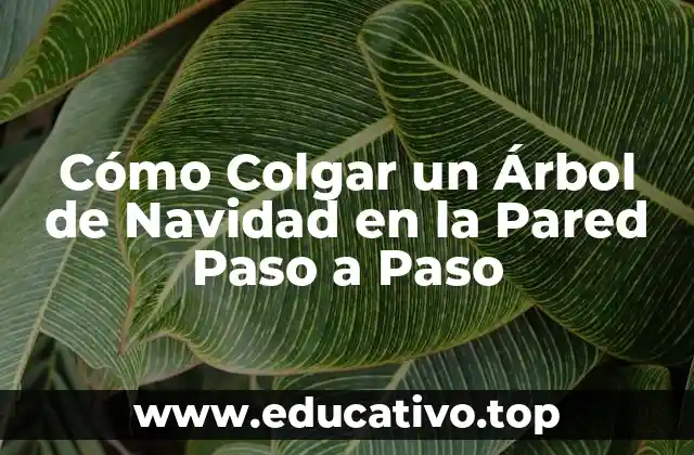 Cómo Colgar un Árbol de Navidad en la Pared Paso a Paso