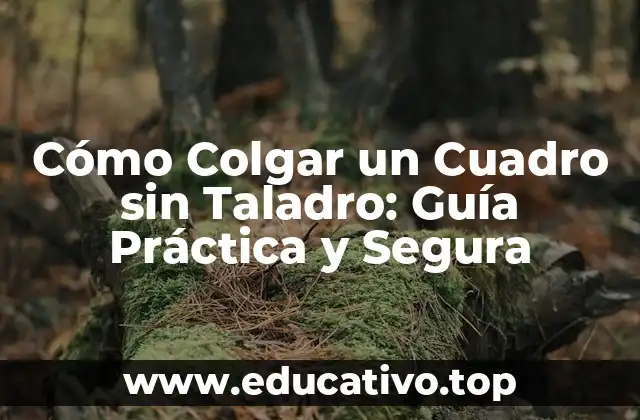 Cómo Colgar un Cuadro sin Taladro: Guía Práctica y Segura