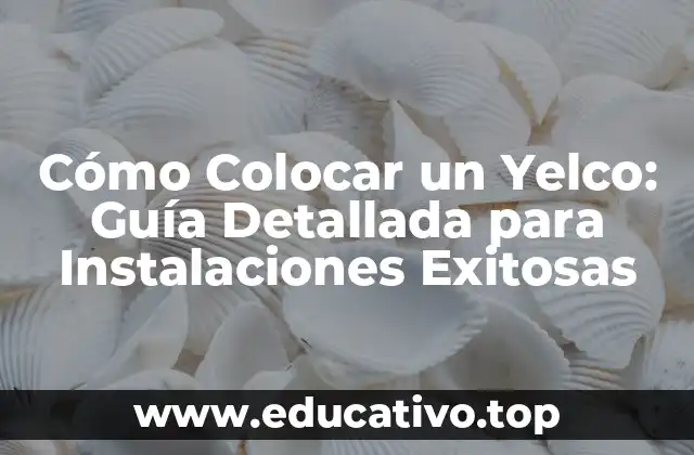 Cómo Colocar un Yelco: Guía Detallada para Instalaciones Exitosas